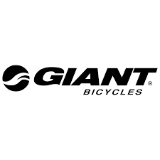 Giant Bikes