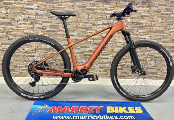 Orbea Urrun 30 Electric Mountain Bike